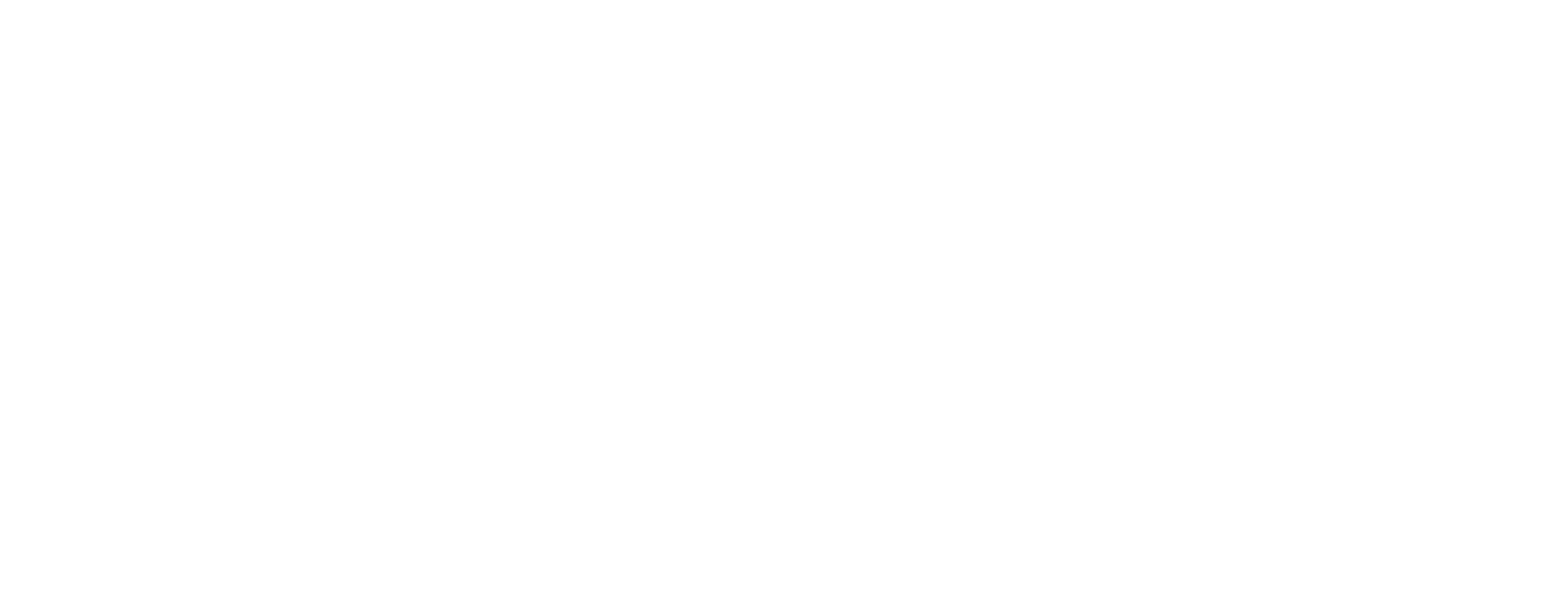 Digi Web Pro
